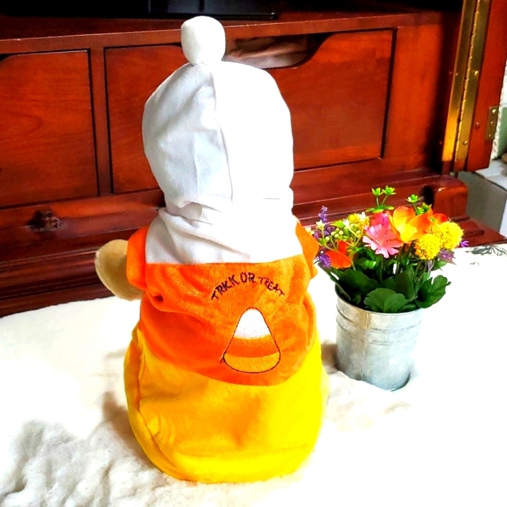 DOG HALLOWEEN CANDY 🍬 COSTUME WITH HOODIE 🐶 - Picture 3 of 11